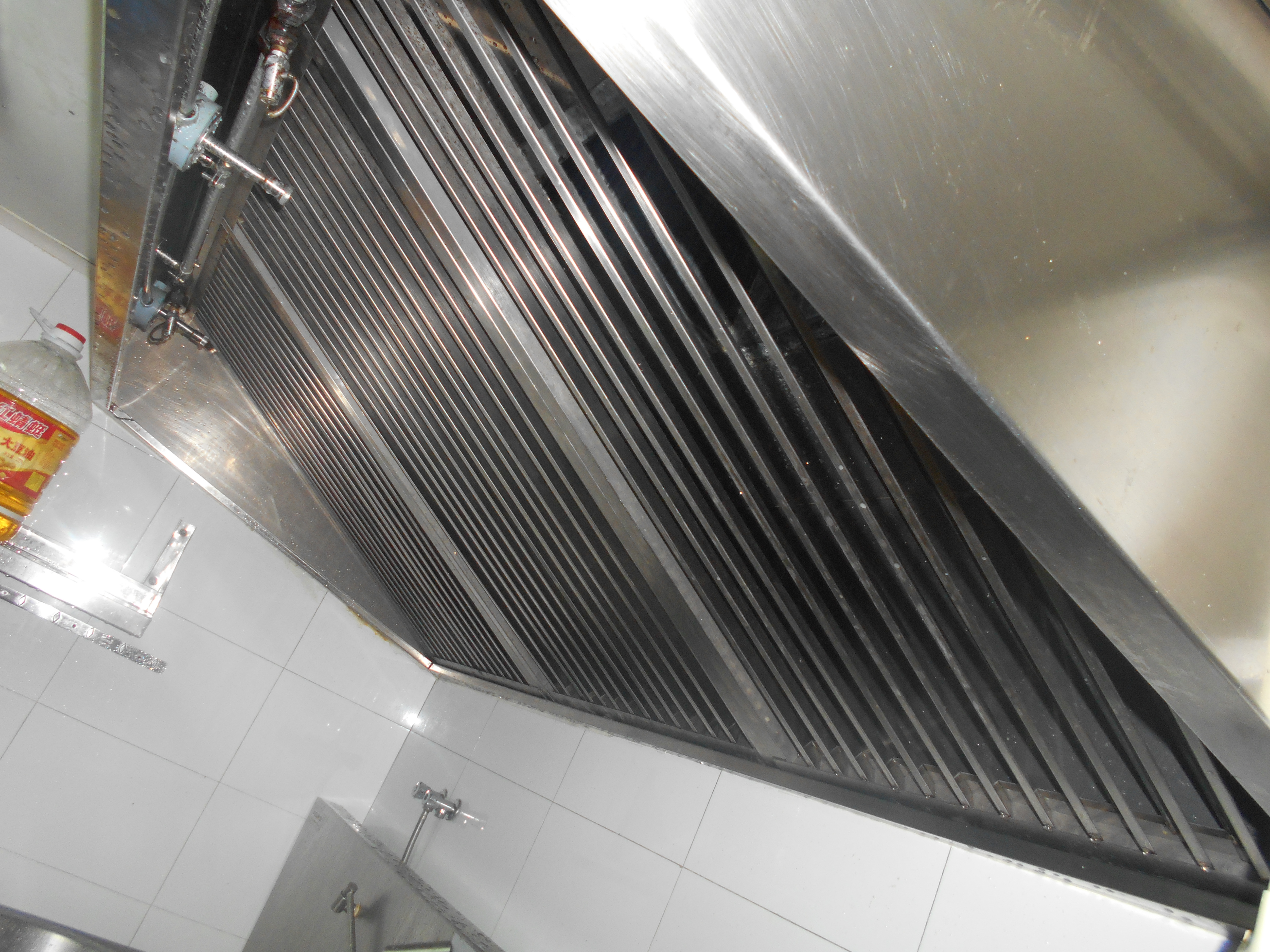 DSCN0503.jpg DSCN0503.jpg